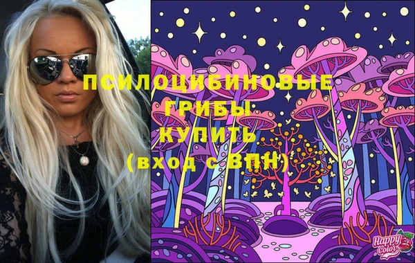 твердый Майский