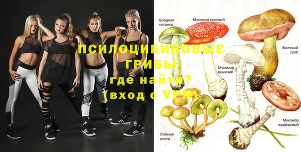 эйфоретик Магас