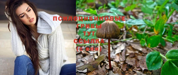 крисы Лиски