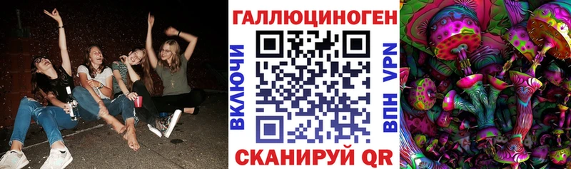 Галлюциногенные грибы мицелий  наркота  Новосибирск 