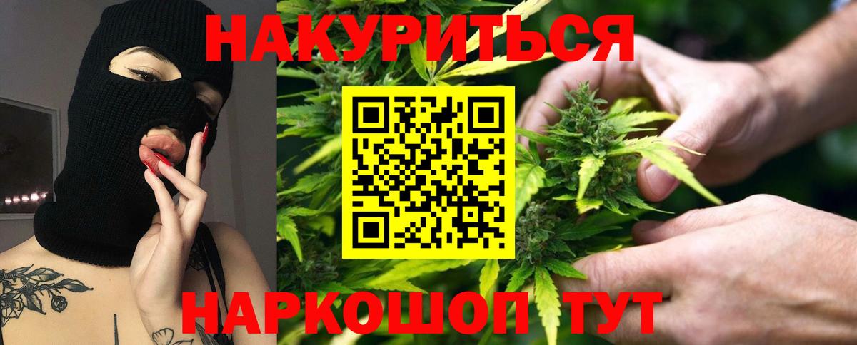Каннабис индика  Бошки марихуана ГИДРОПОН  Конопля план  Вход с VPN  Новосибирск 